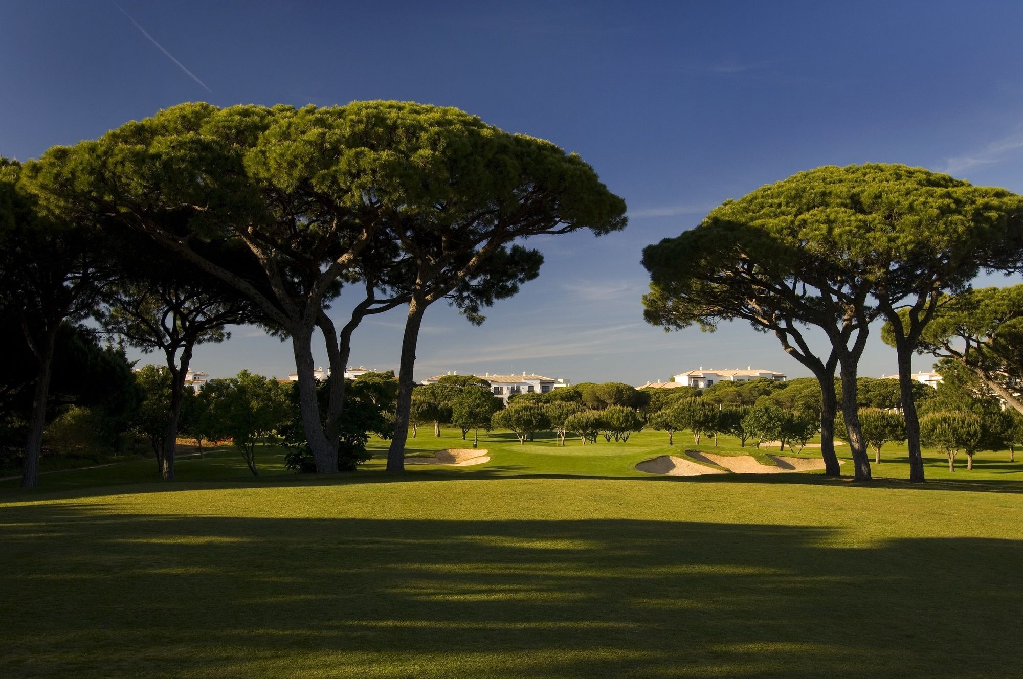 Pine Cliffs Gardens Albufeira Exterior foto